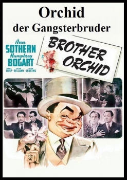 Orchid der Gangsterbruder (uncut)